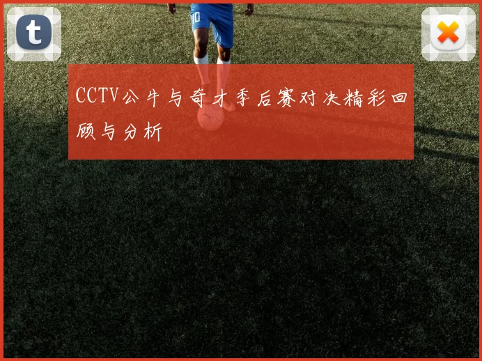CCTV公牛与奇才季后赛对决精彩回顾与分析